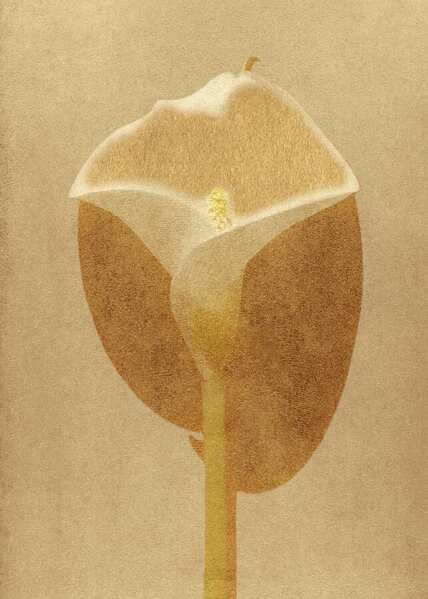 Photograph Mayya Khrolovich Fine Art on One Eyeland